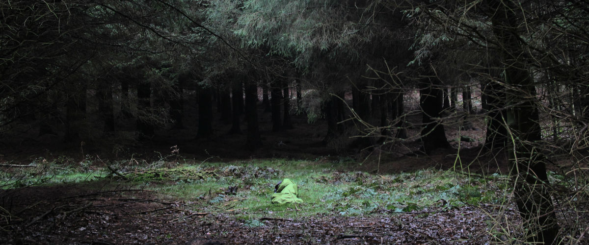 A person sleeping in a woodland clearing